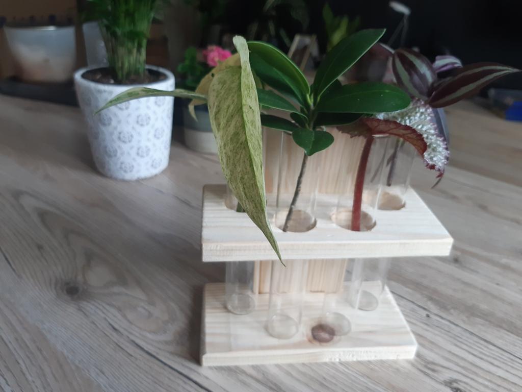 Stekstation gerecycled hout met stekjes, Ophalen of Verzenden, Nieuw
