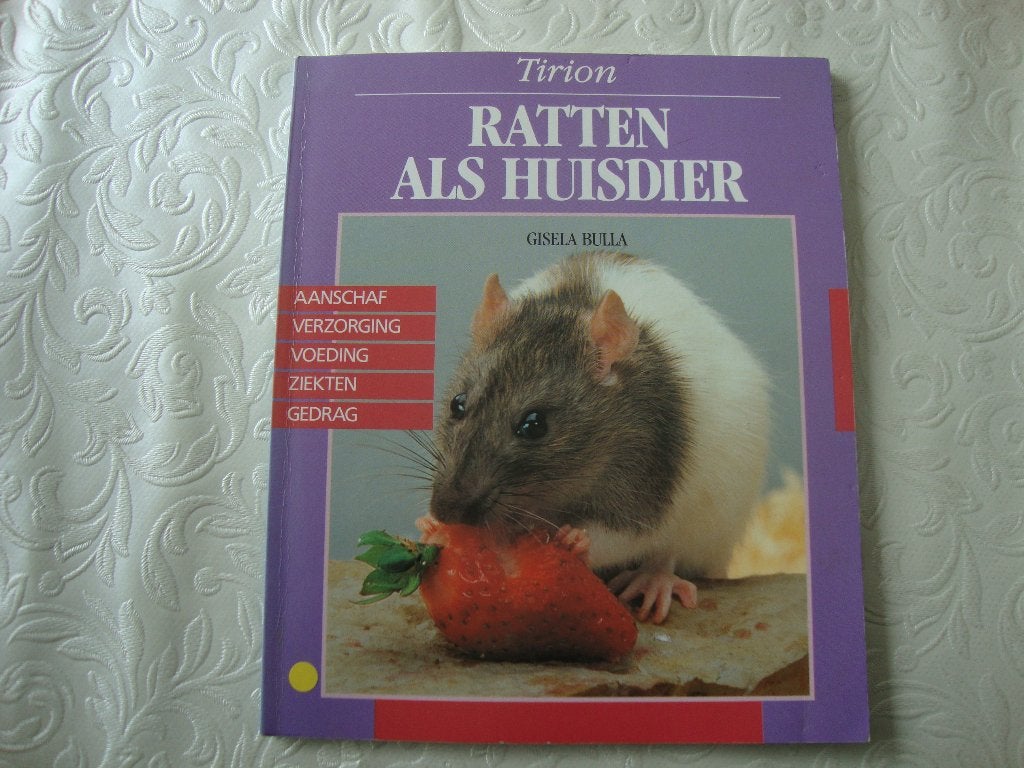 Ratten als huisdier, Boeken, Dieren en Huisdieren, Ophalen of Verzenden, Zo goed als nieuw, Konijnen of Knaagdieren