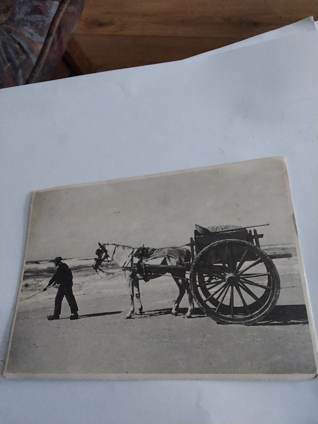 Oude kaart Scheveningen, Schelpenvisser Noordzeestrand, Ophalen of Verzenden, Voor 1920, Gelopen, Zuid-Holland