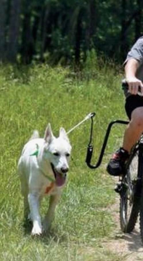 Kleinmetall Altranet dogrunner fietsbeugel, Dieren en Toebehoren, Honden-accessoires, Ophalen, Nieuw