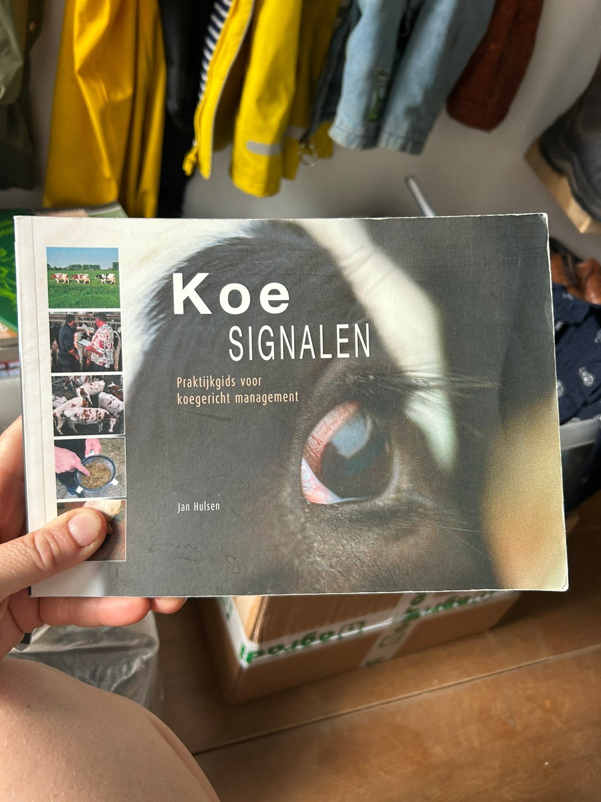 Koe signalen, Ophalen of Verzenden, Zo goed als nieuw, Paarden of Pony's