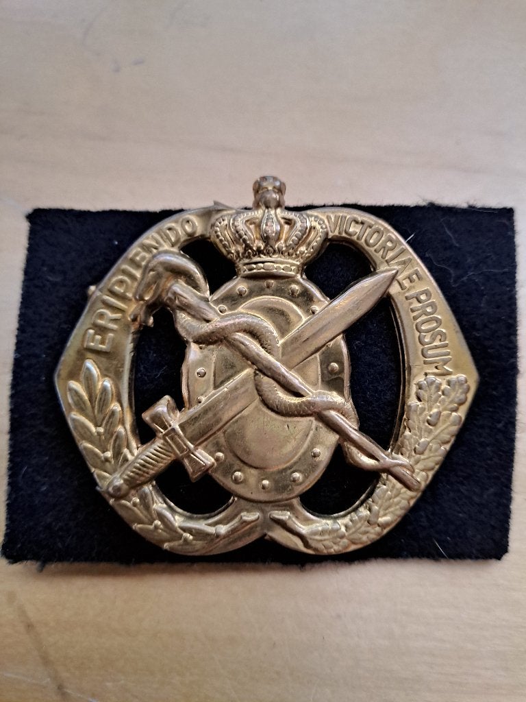 baret embleem, Verzamelen, Ophalen of Verzenden, Nvt, Nederland, Embleem of Badge