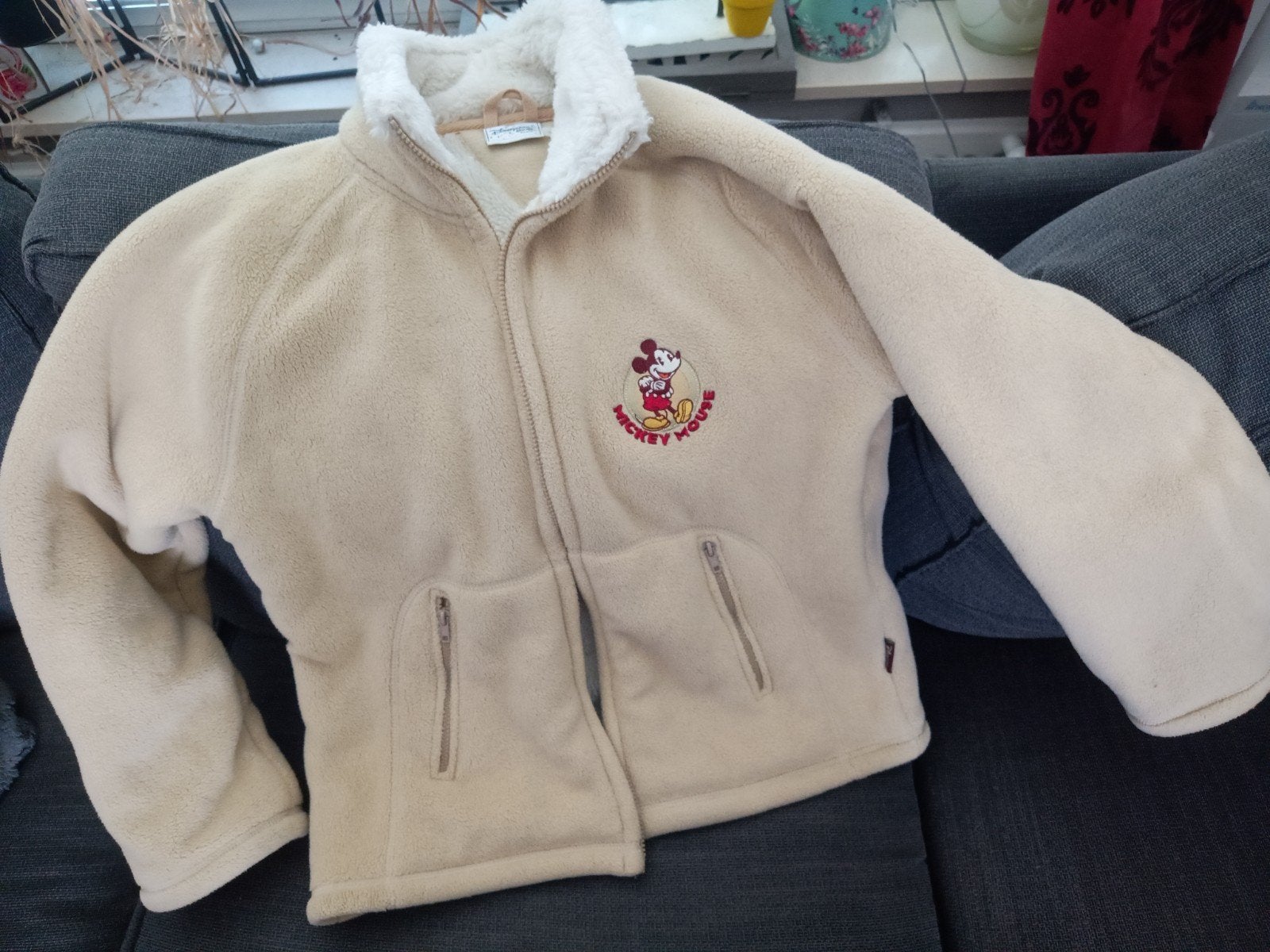 Disneyland Paris vest/jas maat S, Ophalen of Verzenden, Zo goed als nieuw, Maat 38/40 (M)