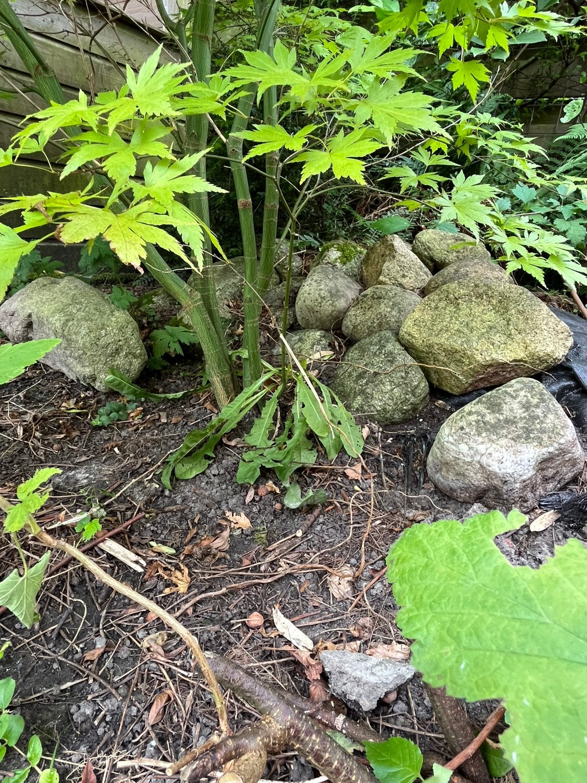 Keien, Tuin en Terras, Ophalen, Gebruikt, Kei