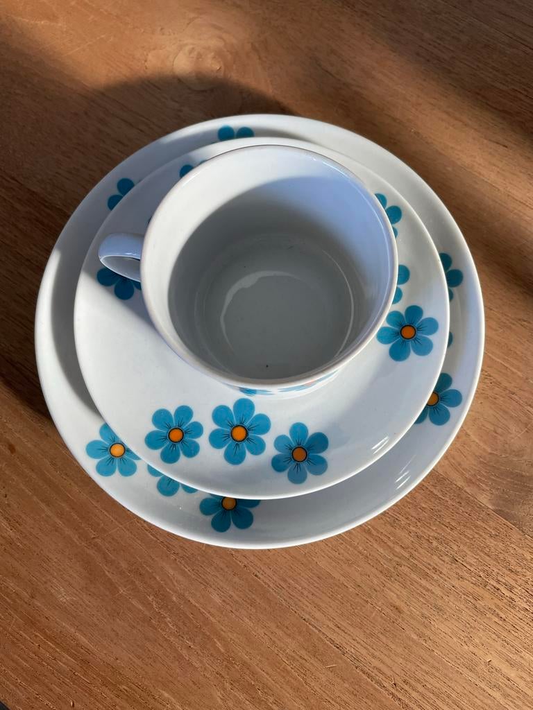 Vintage Winterling Röslau Bavaria Koffieservies Bloemen, Antiek en Kunst, Antiek | Servies los, Ophalen of Verzenden