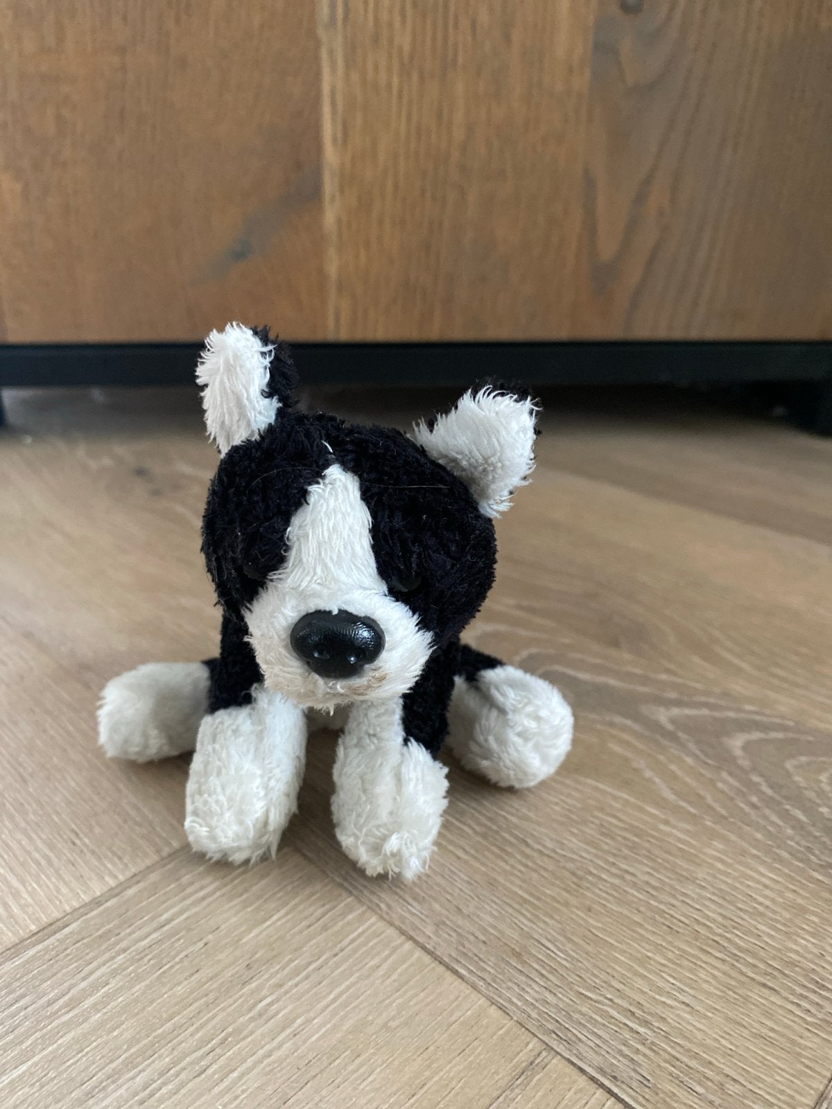 Zwart-witte knuffelhond - Zo goed als nieuw, Zwart, Klein (minder dan 20 cm), Ty, Hond