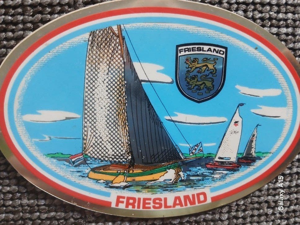 sticker, Ophalen of Verzenden, Nieuw, Sticker