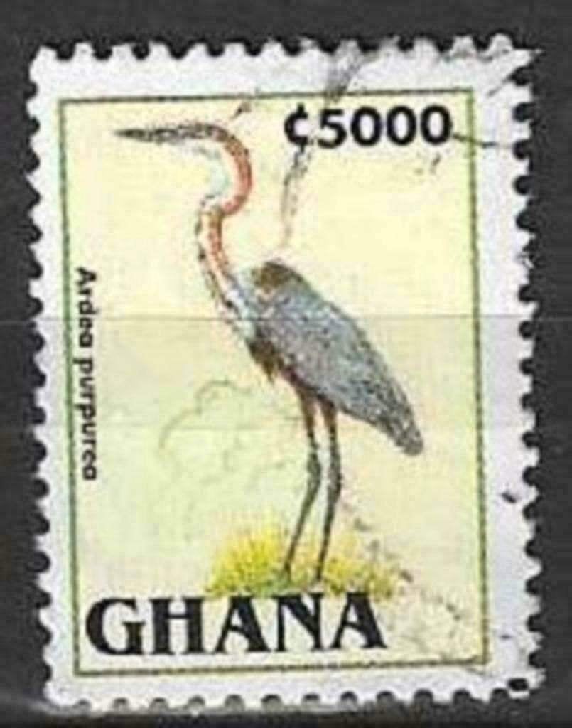 Ghana 1995 - Yvert 1844 - Fauna - Ardea Purpurea (ST), Verzenden, Overige landen, Gestempeld