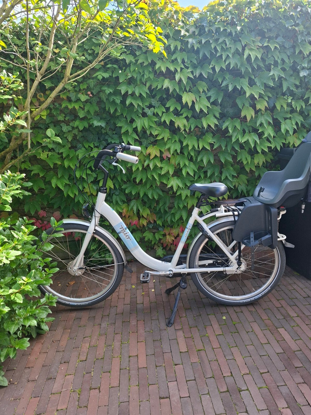 Giant Mio Damesfiets moederfiets, Ophalen, 53 tot 56 cm, Velgrem, (Extra) lage instap