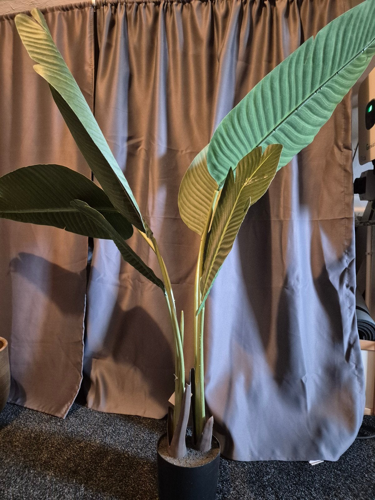 Grote Kunstplant Strelitzia - Realistisch en Onderhoudsvrij, Ophalen, Zo goed als nieuw