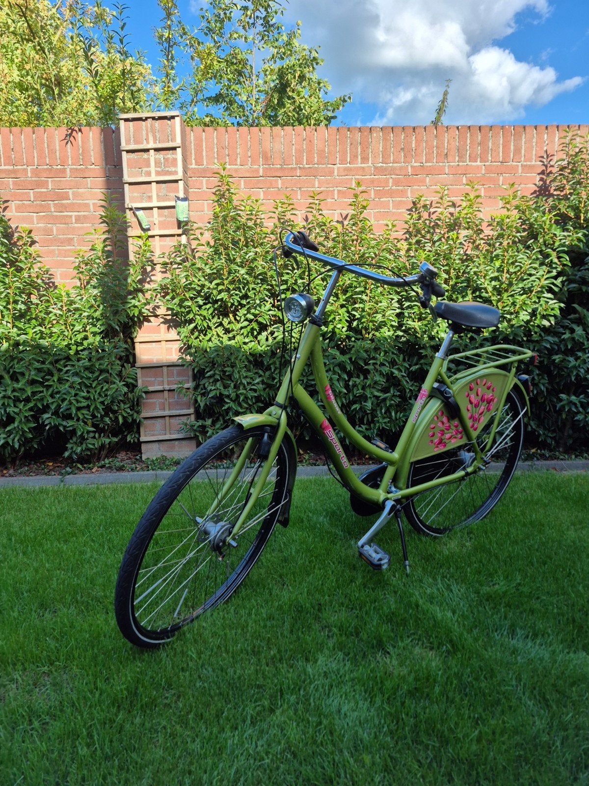 Oma fiets licht groen mooie moderne oma, 53 tot 56 cm, Versnellingen, Ophalen of Verzenden, Zo goed als nieuw
