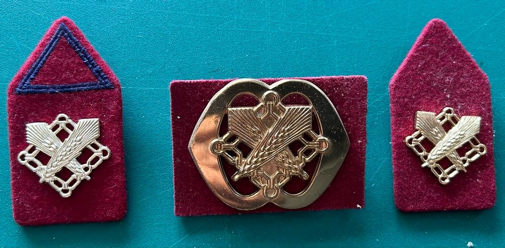Baretembleem en schouderembleem Interdance, Ophalen of Verzenden, Landmacht, Nederland, Embleem of Badge