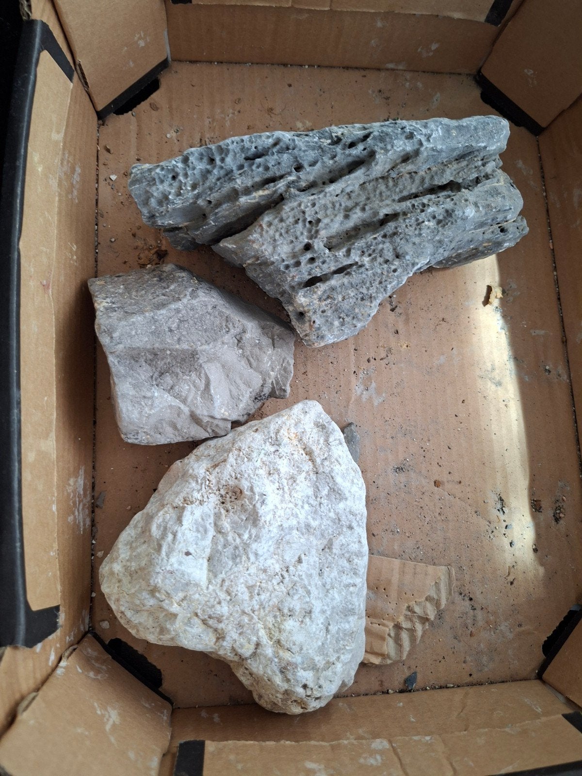 aquarium stenen, Ophalen, Zo goed als nieuw, Plant(en), Steen of Hout, Overige merken