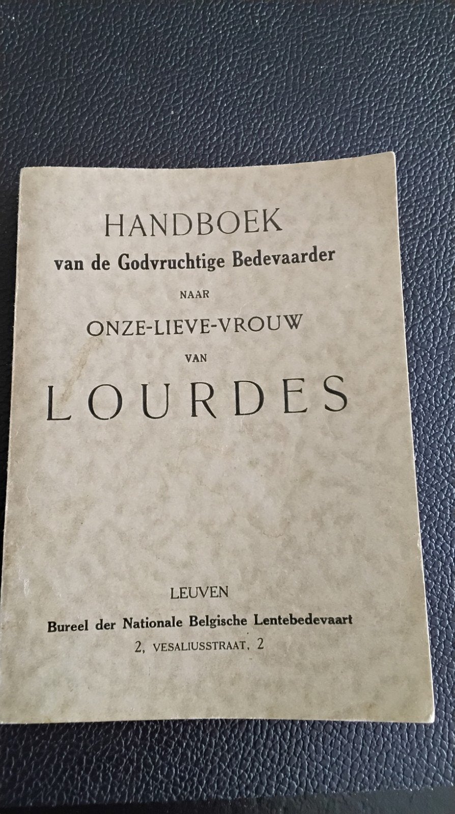 Handboek van de Godvruchtige Bedevaarder naar Lourdes, Boeken, Onbekend, Christendom | Katholiek, Ophalen of Verzenden, Zo goed als nieuw