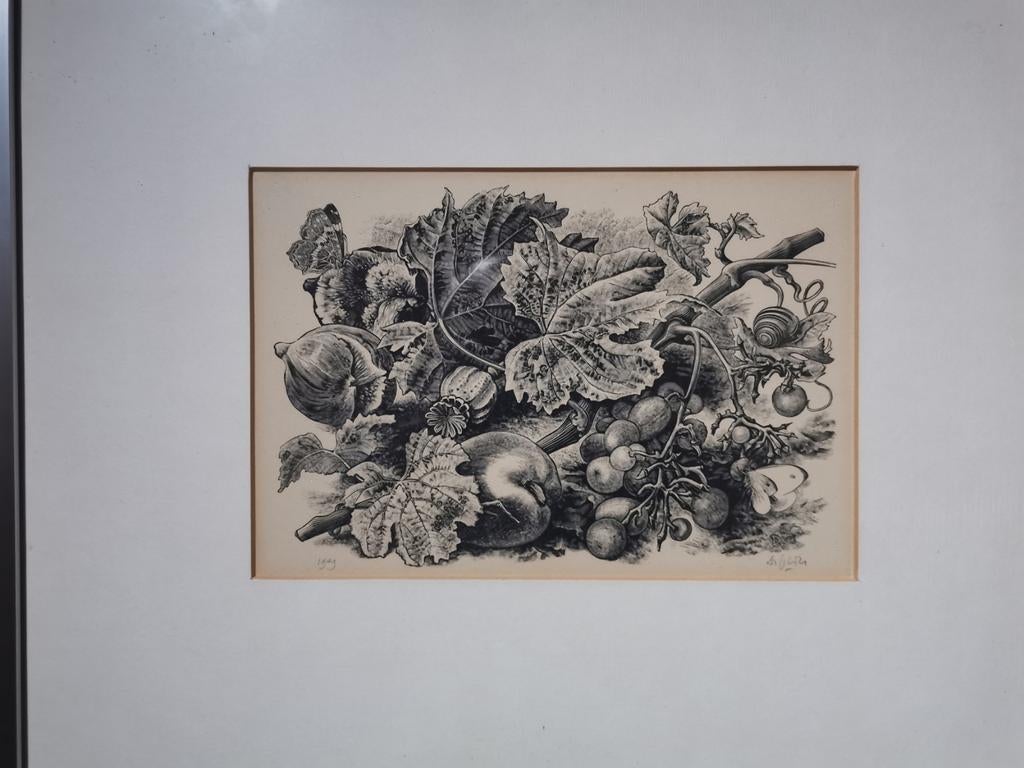 Stilleven met fruit, bladeren en insecten - 1949, Ophalen, Ets, 1900 - 1949, Flora en Fauna