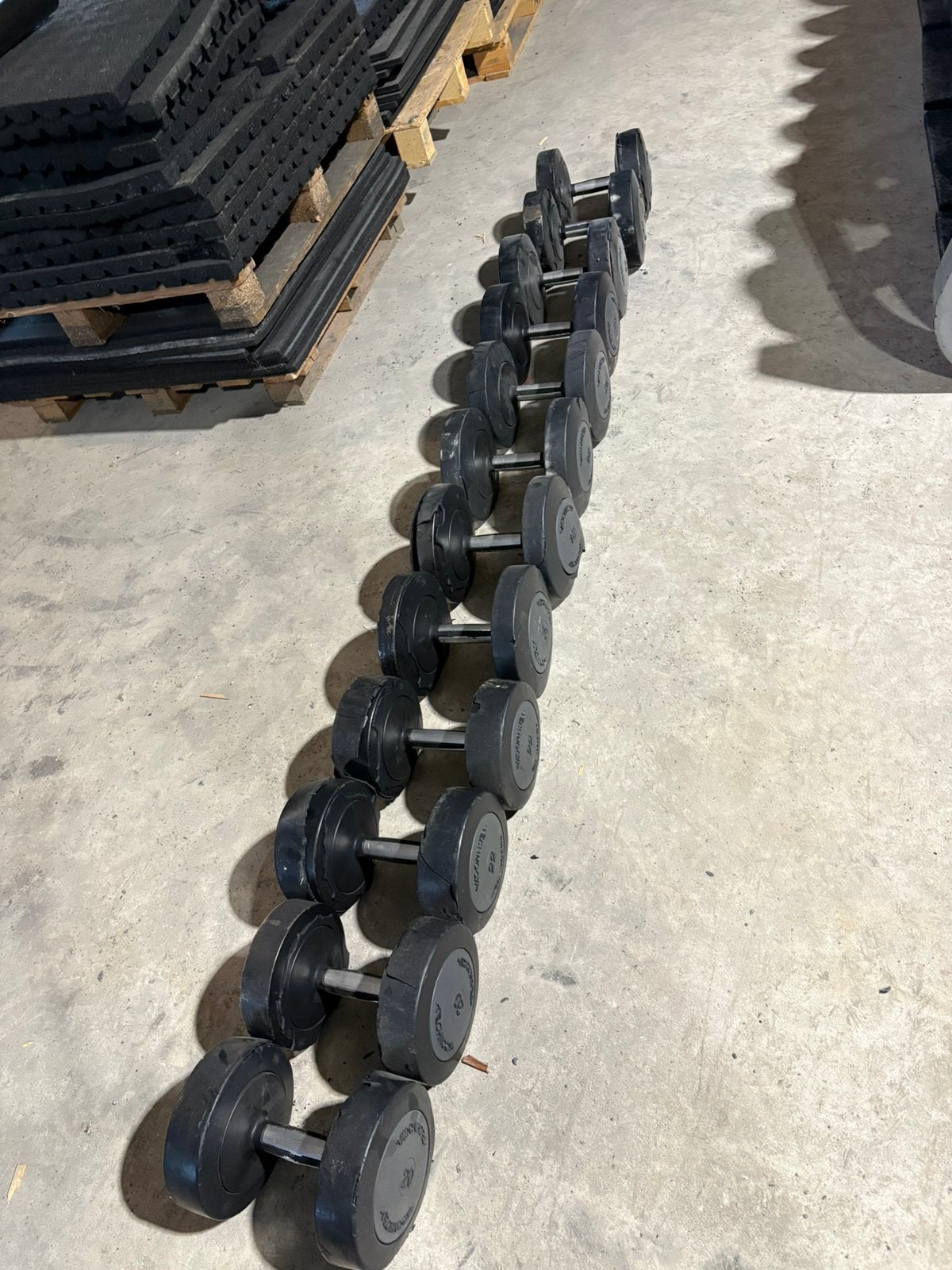 Beschadigde technogym dumbbells 20-32 kg gewichten, Ophalen, Dumbbell, Technogym, Beschadigd