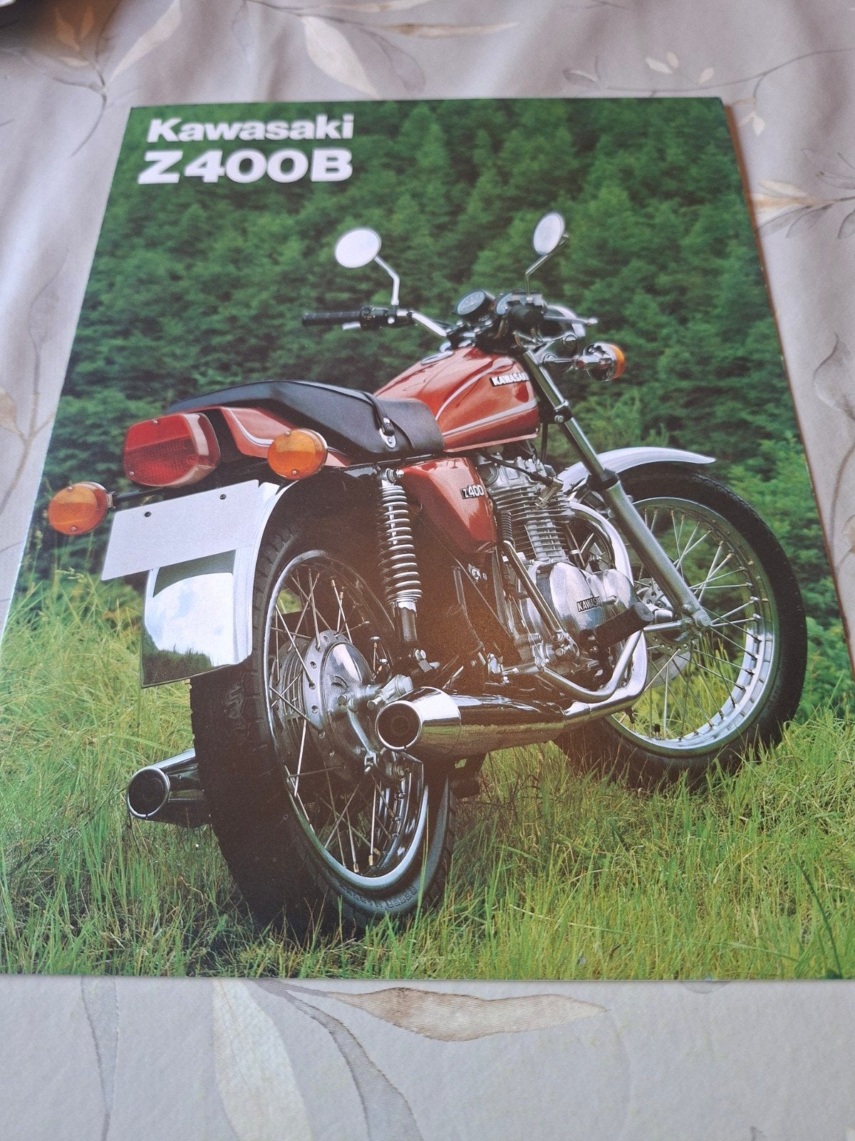 Kawasaki Z400B brochure - 6 pagina's - Engels, Boeken, Ophalen of Verzenden, Gelezen, Merk of Model