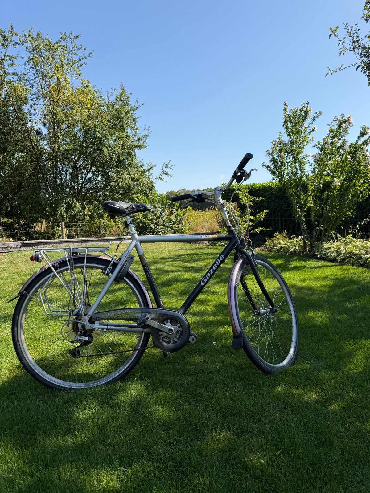 Gazelle Medeo Special Edition - Opknapper, Fietsen en Brommers, Fietsen | Dames | Damesfietsen, Ophalen, Gebruikt, Velgrem, Versnellingen