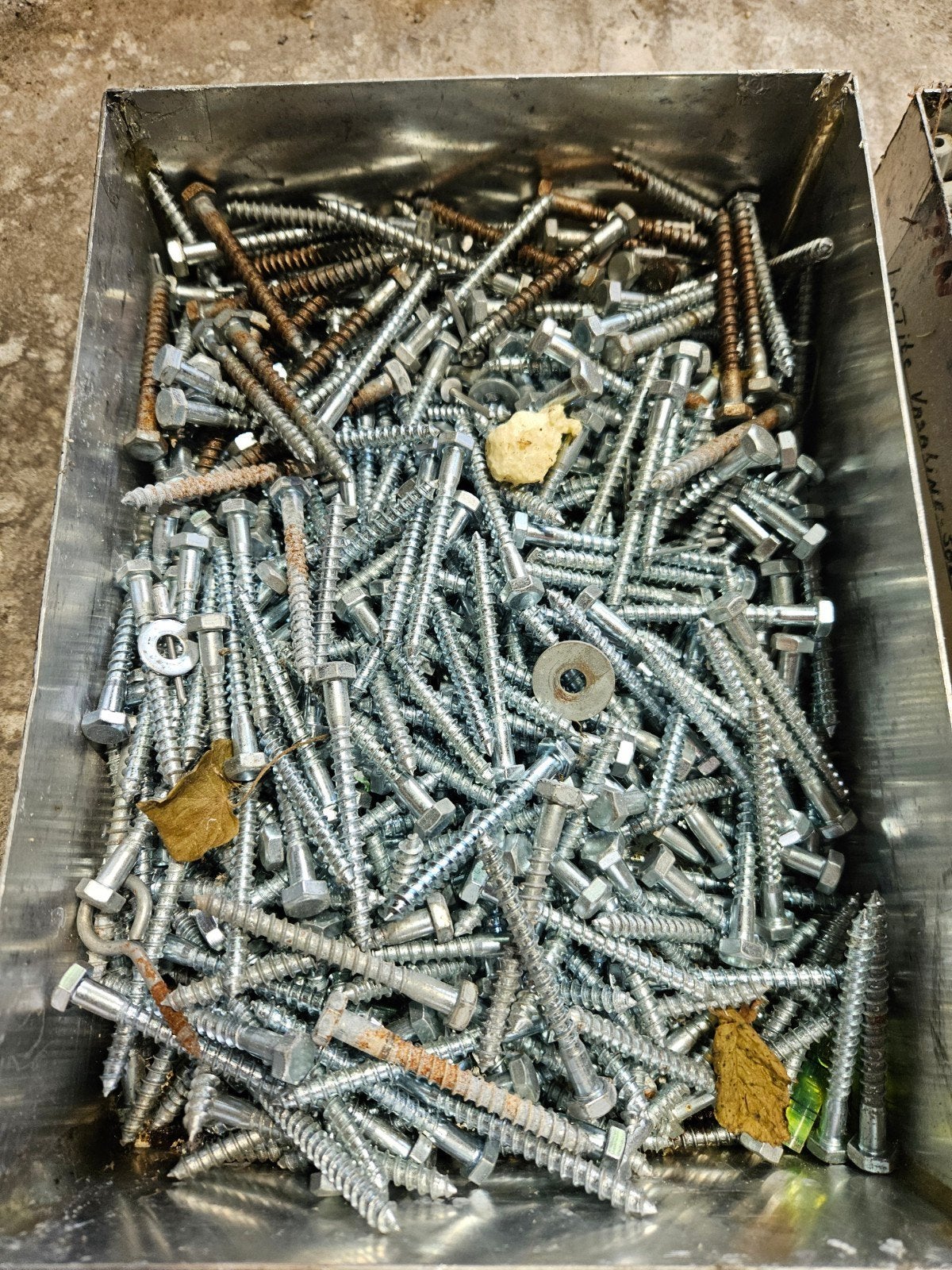 Diverse schroeven en bouten - Grote partij, Ophalen of Verzenden, Gebruikt, 50 tot 100 mm, Schroeven