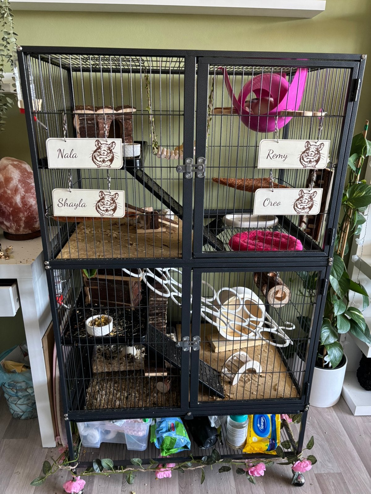Rattenkooi met ratjes, Dieren en Toebehoren, Ophalen, Zo goed als nieuw, Kooi, 90 cm of meer
