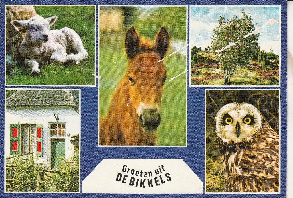 Groeten uit de Bikkels, Ophalen of Verzenden, 1980 tot heden, Gelopen, Noord-Brabant