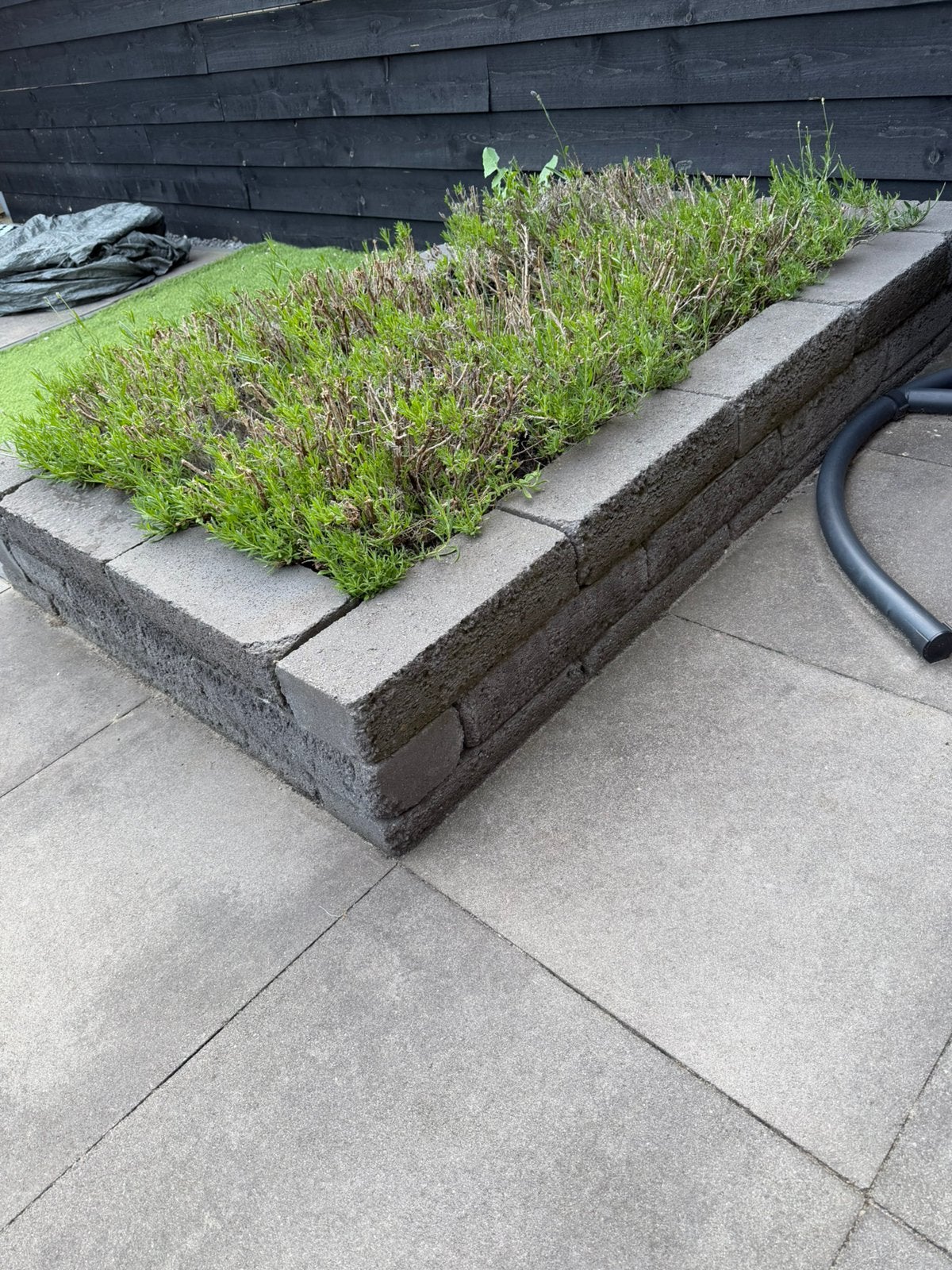 GRATIS! Border van stenen inclusief lavendel, Ophalen, Steen, Gebruikt, Minder dan 30 cm