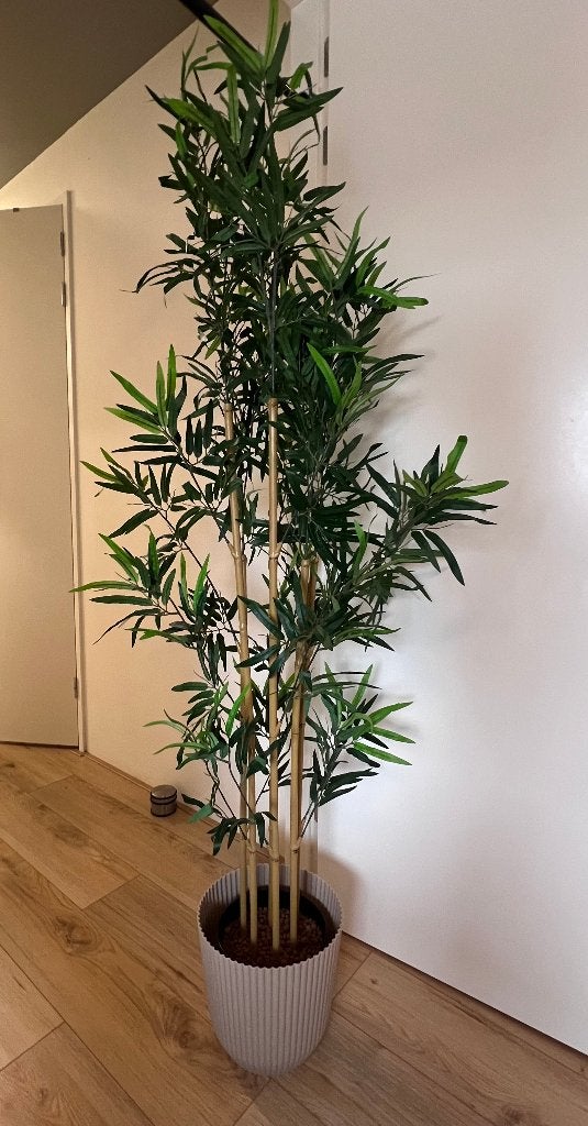 Bamboe kunst plant Ikea, Ophalen, Overige soorten, Halfschaduw, In pot