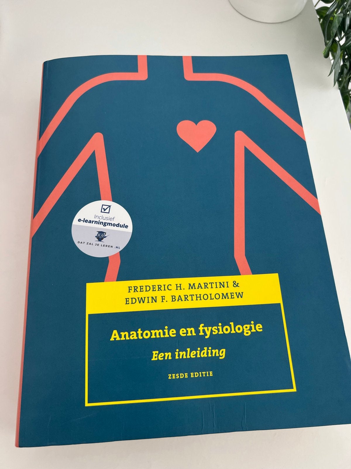 Anatomie en Fysiologie: Een Inleiding - Zesde Editie, Boeken, Studieboeken en Cursussen, Ophalen of Verzenden, Beta, Zo goed als nieuw