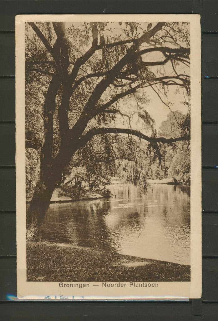 Groningen 1929 Noorder Plantsoen Ansichtkaart f-259 jdu, Ophalen of Verzenden, 1920 tot 1940, Natuur