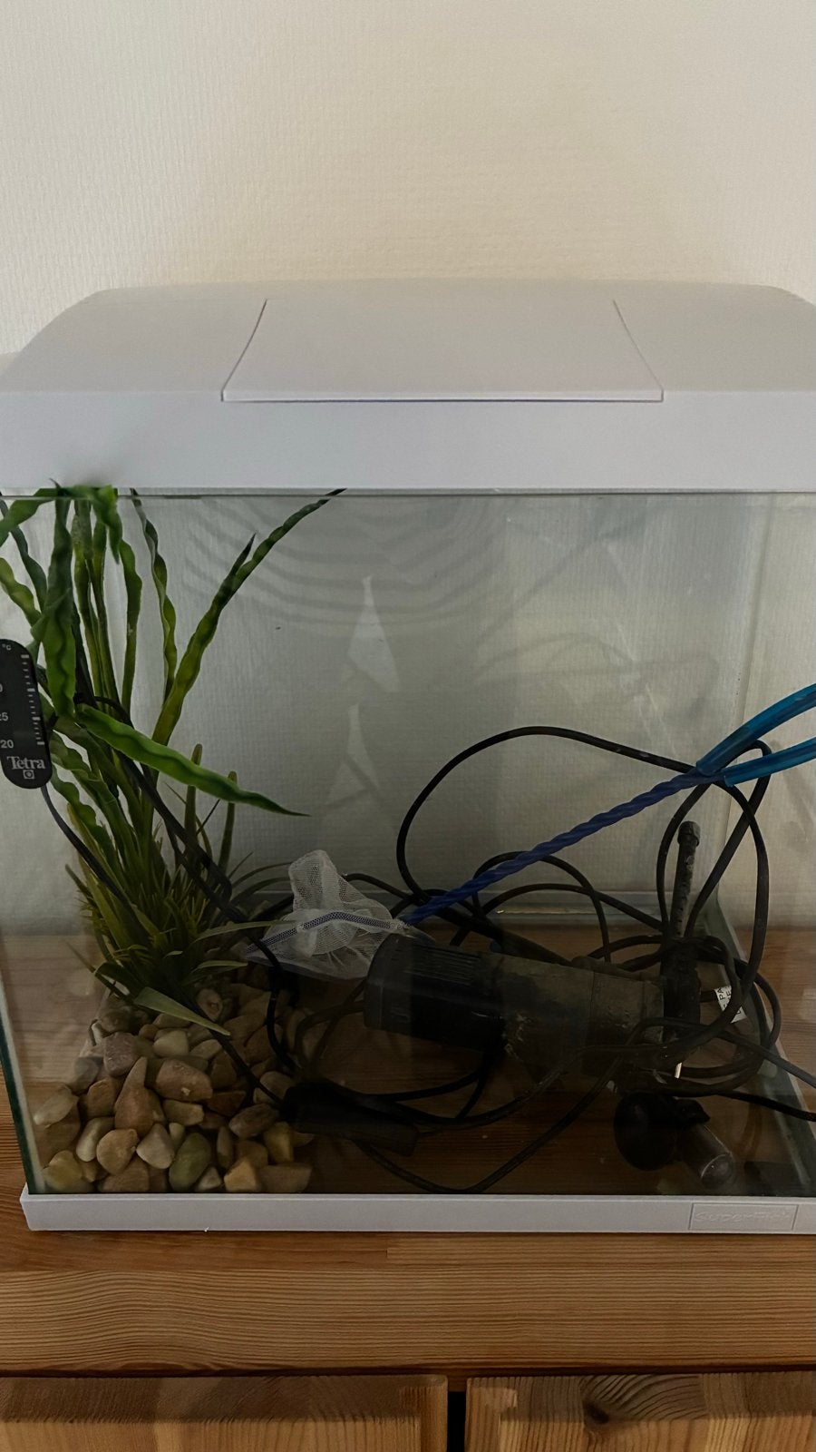 Superfish 30L complete aquarium, Dieren en Toebehoren, Ophalen