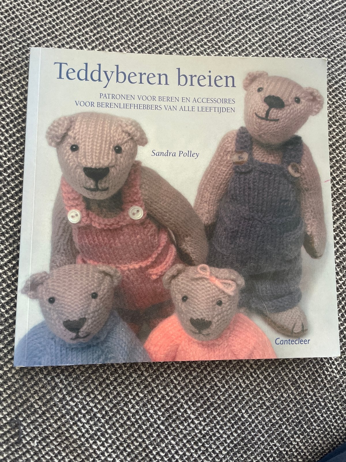 Teddyberen breien - Patronen voor beren en accessoires, Ophalen of Verzenden, Zo goed als nieuw, Breien en Haken, Geschikt voor kinderen