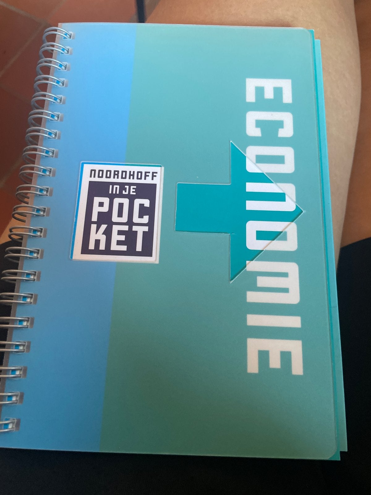 Noordhoff in je Pocket Economie, Boeken, Ophalen of Verzenden, Zo goed als nieuw, Economie