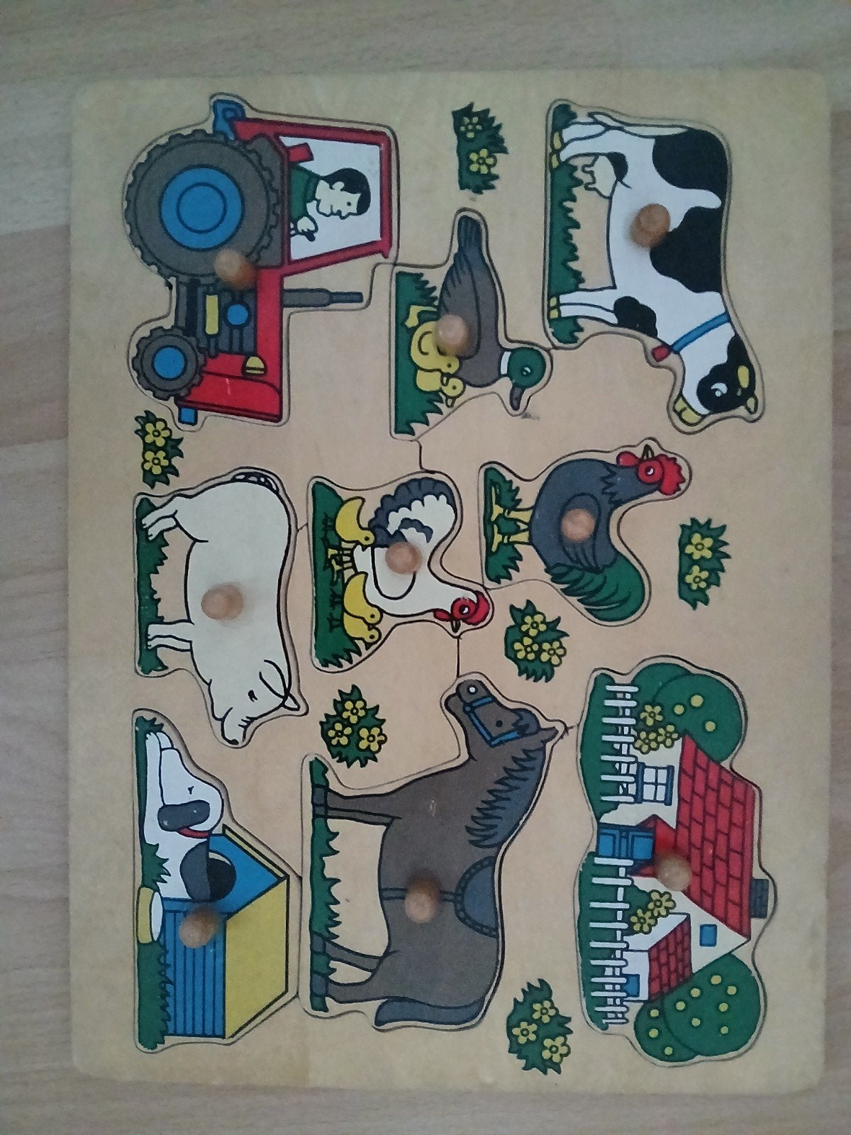 Diverse houten puzzels voor kleine kinderen, Ophalen of Verzenden, Minder dan 10 stukjes, 6 maanden tot 2 jaar