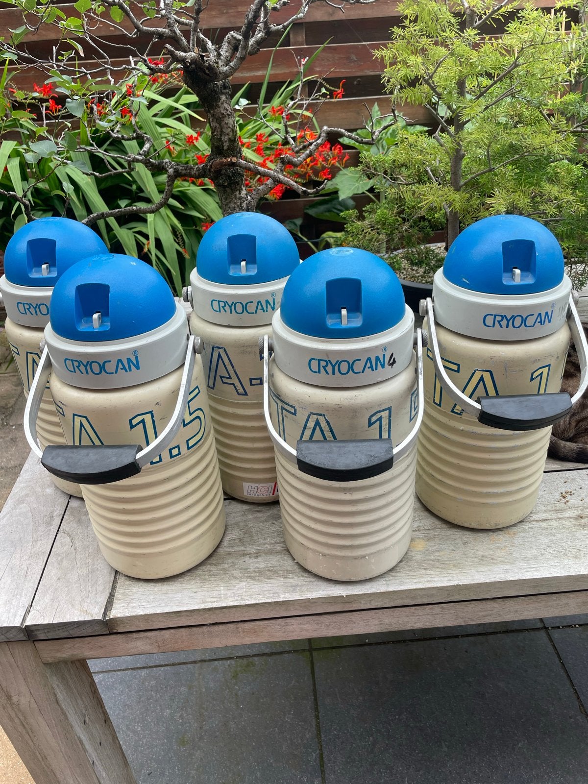 5 Cryocan vaten voor vloeibare stikstof, Ophalen