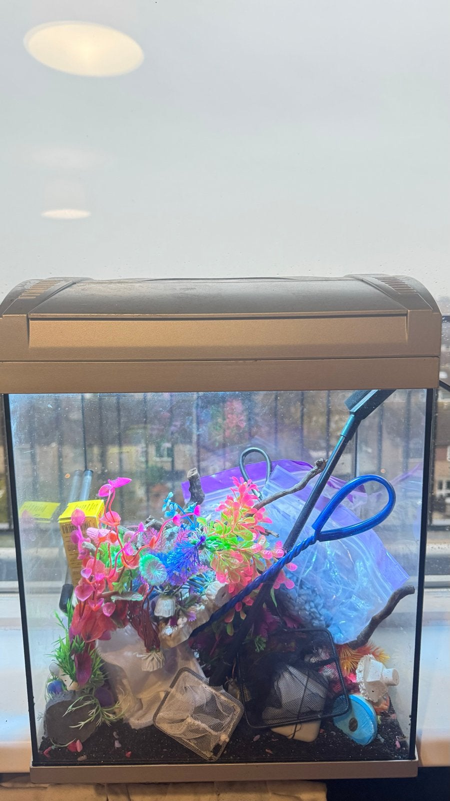 Aquarium, Dieren en Toebehoren, Ophalen
