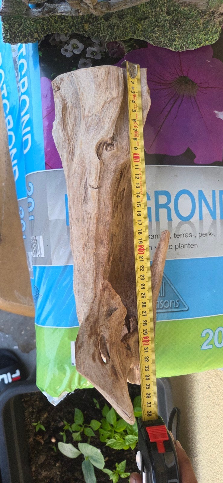 Decoratief drijfhout stuk, 38 cm, Hout, Gebruikt, Ophalen of Verzenden, Landelijk