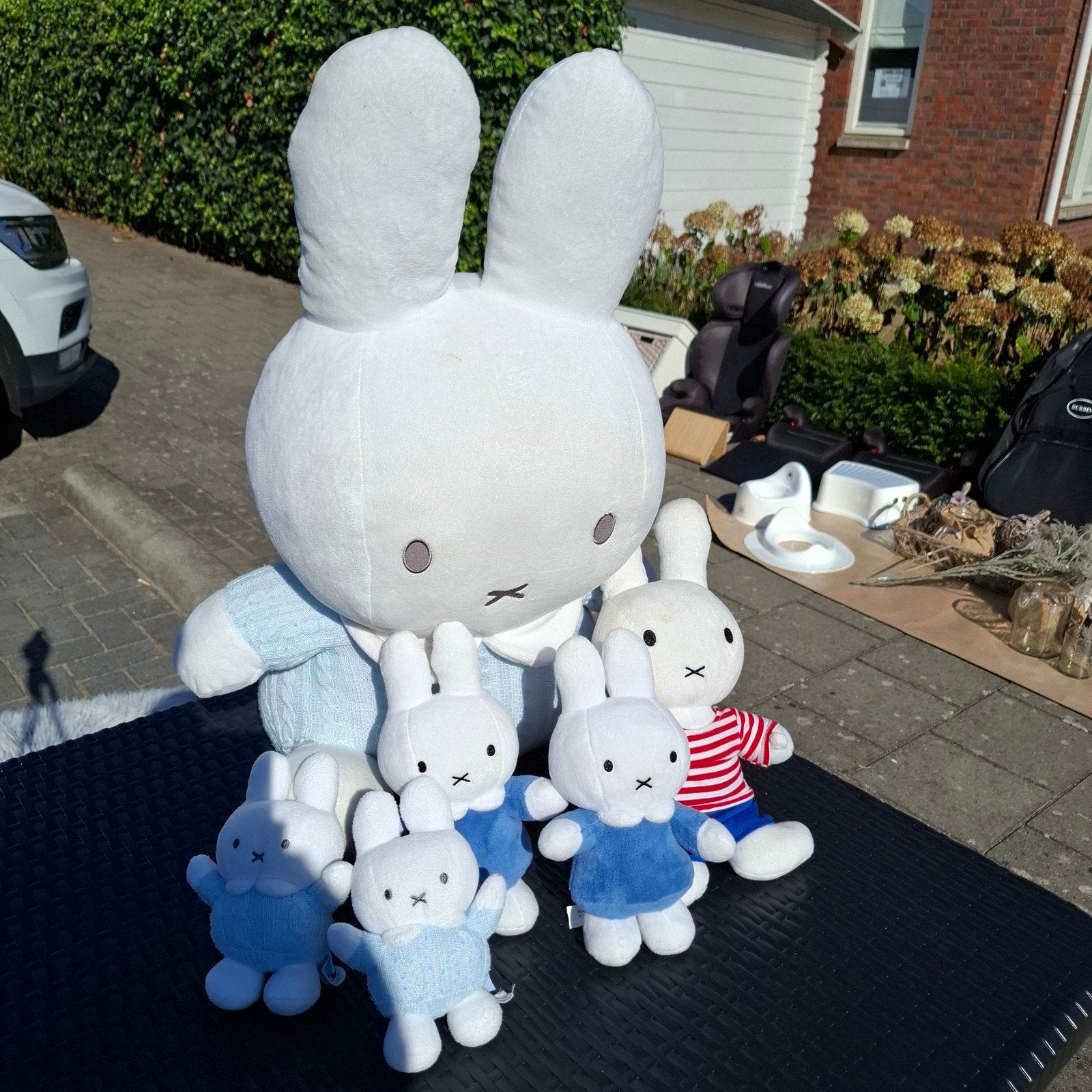 Grote en kleine Nijntje knuffels - set van 6, Ophalen, Overige merken, Konijn, Nijntje