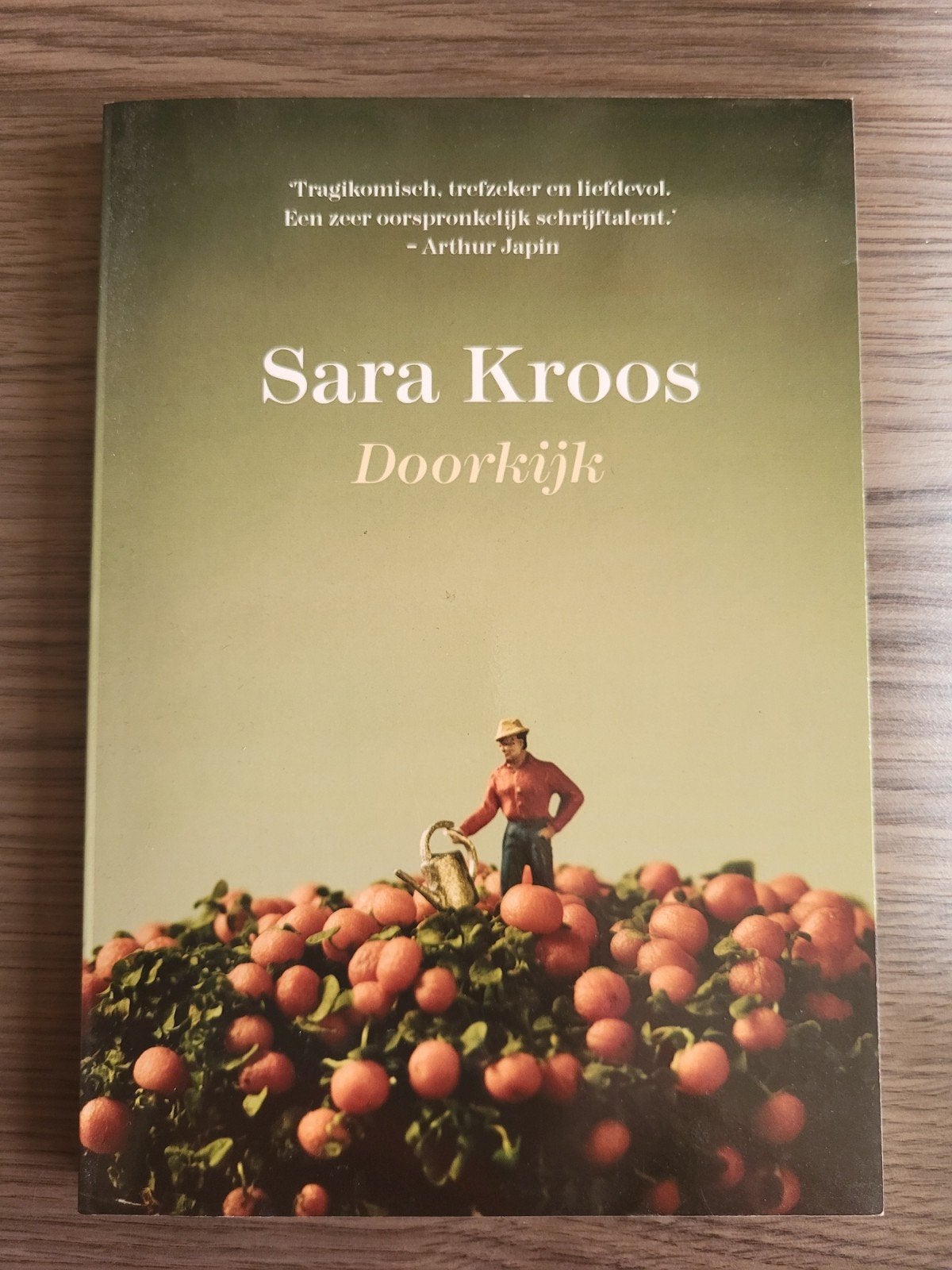 Doorkijk - Sara Kroos (Boek), Boeken, Ophalen of Verzenden, Zo goed als nieuw, Sara Kroos, Nederland