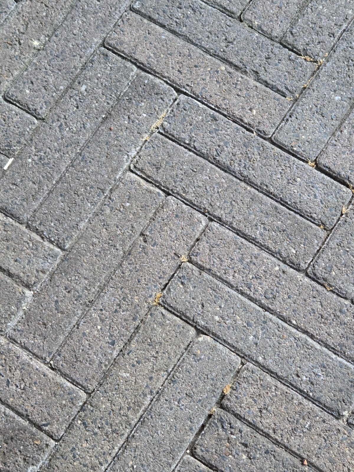 Gratis: waaltjes en klinkers!, Tuin en Terras, Ophalen, Gebruikt
