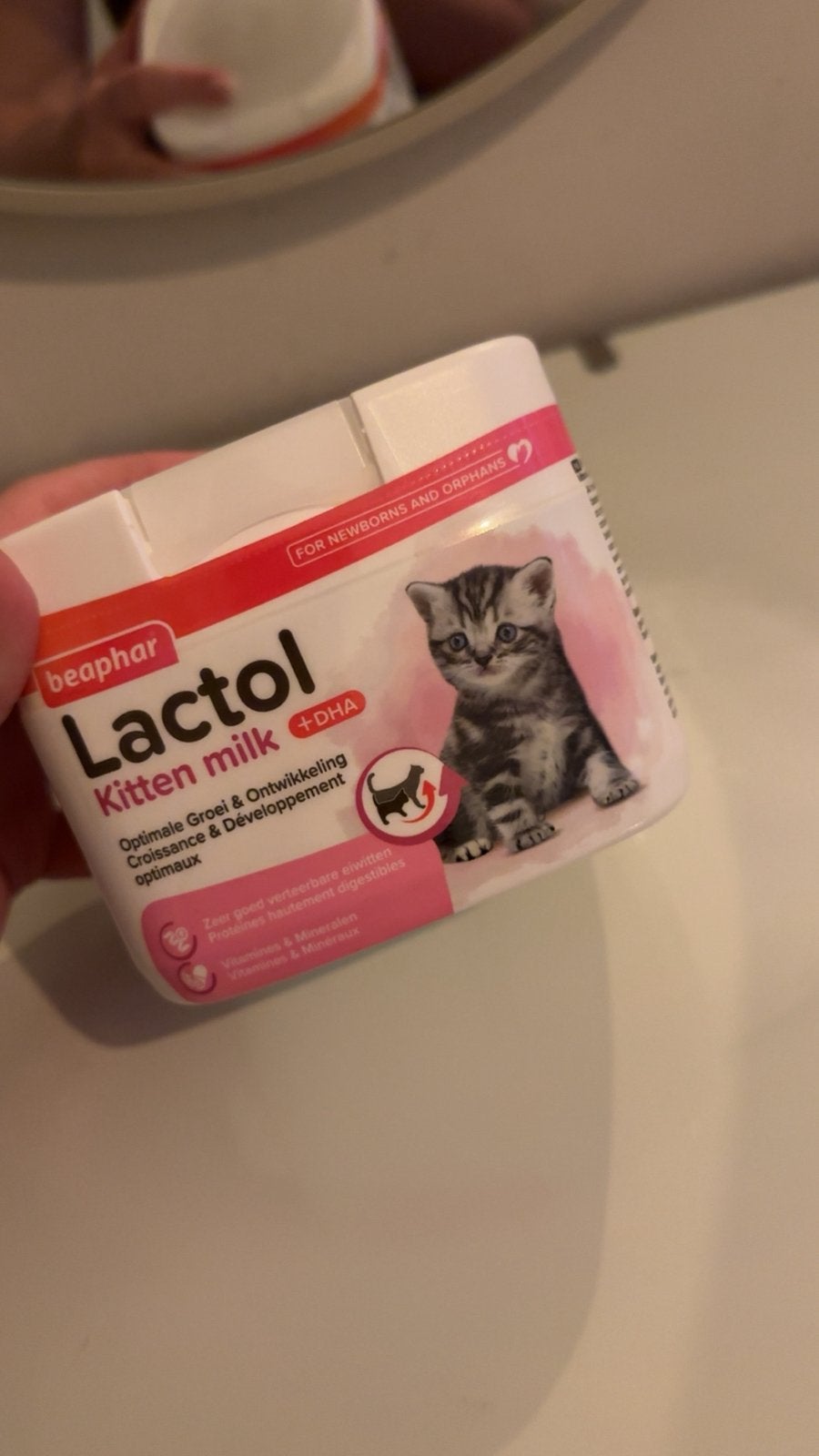 Kitten melk, Dieren en Toebehoren, Ophalen of Verzenden, Kat