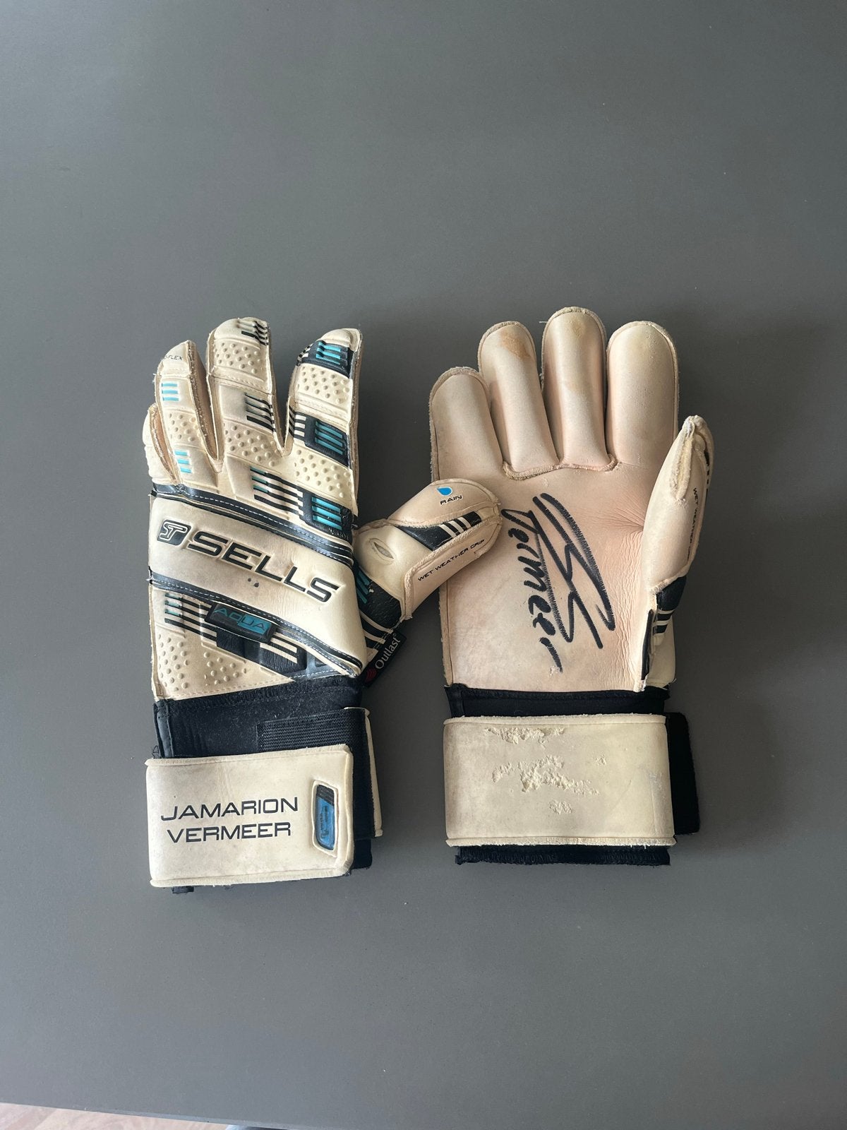 Sells keepershandschoenen gesigneerd door Kenneth Vermeer, Ophalen of Verzenden, Gebruikt, Handschoenen