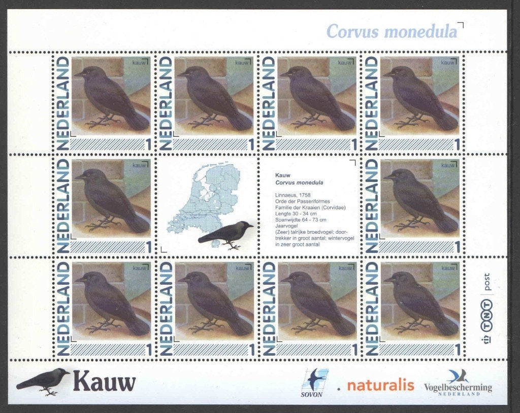 Postzegels Vogels in Nederland: Kauw, Ophalen of Verzenden, Na 1940, Postfris