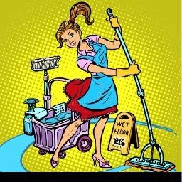 Flinke betrouwbare schoonmaakster gezocht!, Overige uren, Overige niveaus, Overige vormen