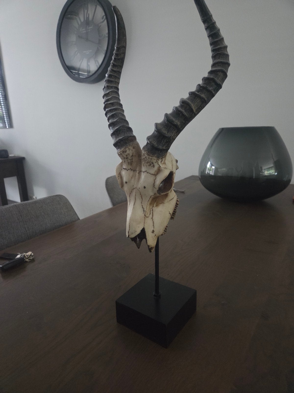 Antilope schedel op standaard - Decoratief object, Vintage, Gebruikt, Meerkleurig, Ophalen of Verzenden