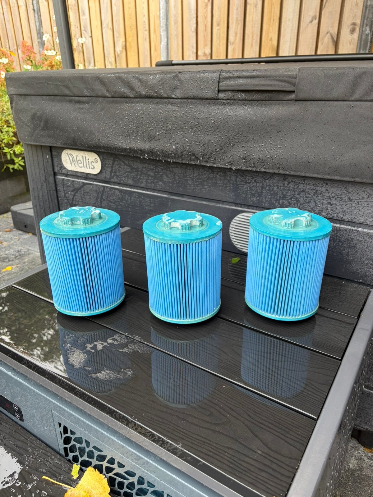 Filters Wellis Lugano City life jacuzzi, Tuin en Terras, Ophalen of Verzenden, Zo goed als nieuw, Filter