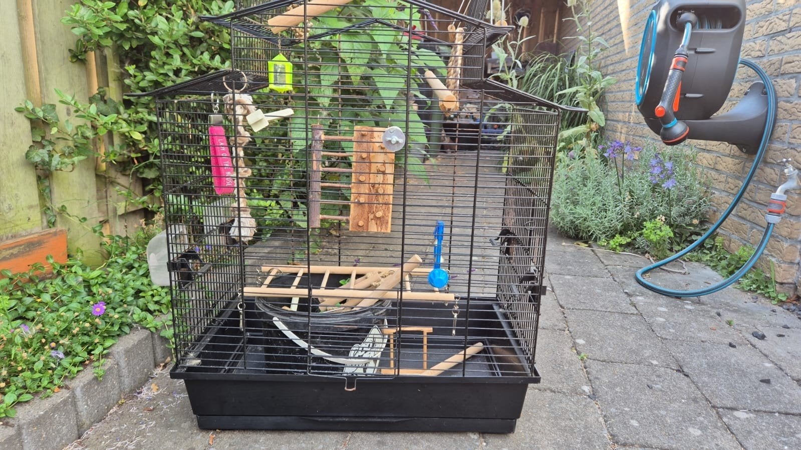 Vogelkooi gratis., Ophalen, Metaal, Vogelkooi