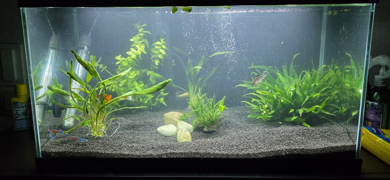 60L Aquarium Set - 3 maanden oud, als nieuw, Dieren en Toebehoren, Ophalen, Zo goed als nieuw, Leeg aquarium