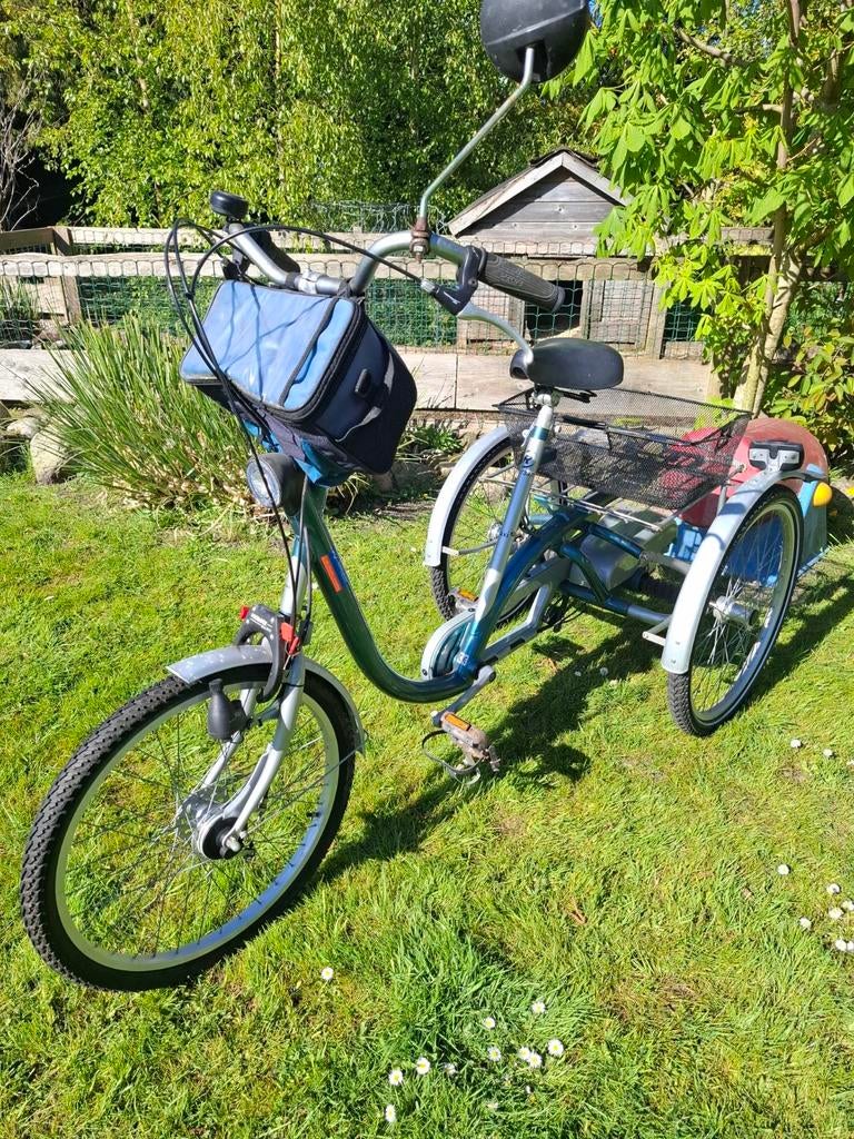 Drie wieler, Fietsen en Brommers, Fietsen | Driewielfietsen, Ophalen, Gebruikt, Van Raam