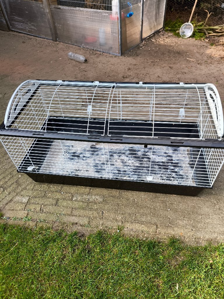 Binnen hok Konijn  of cavia, 110 cm of meer, 60 tot 90 cm, Zo goed als nieuw, Hok