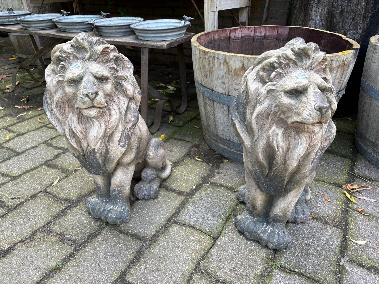 Stoere leeuw van polystone!, Ophalen, Nieuw, Nvt, Nvt